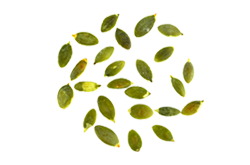 https://www.sweettheorybakingco.com/wp-content/uploads/2017/07/bread_transparent_04.png