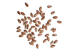 https://www.sweettheorybakingco.com/wp-content/uploads/2017/07/bread_transparent_07.png